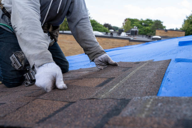 Roof Waterproofing Services in Milford, UT